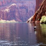 Grand Canyon: Glen Canyon And Horseshoe Bend Raft Trip Activity Description