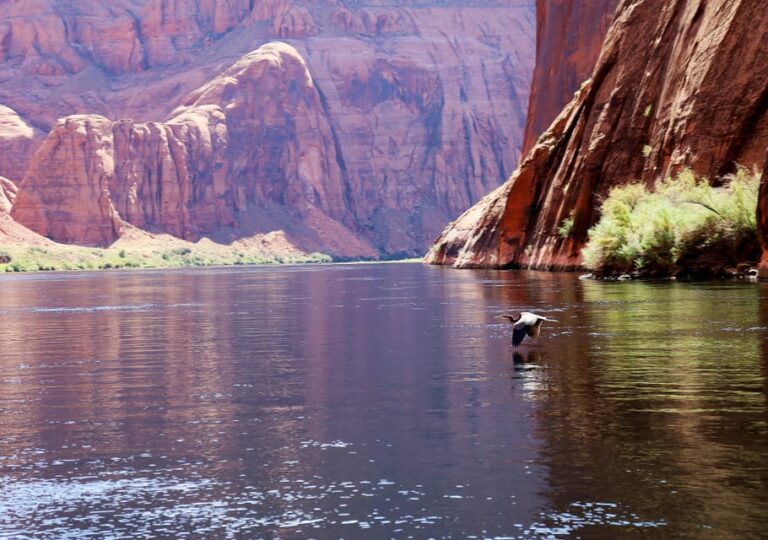 Grand Canyon: Glen Canyon And Horseshoe Bend Raft Trip Activity Description