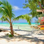 Grand Cayman Private Customized Bus Tour Whats Included