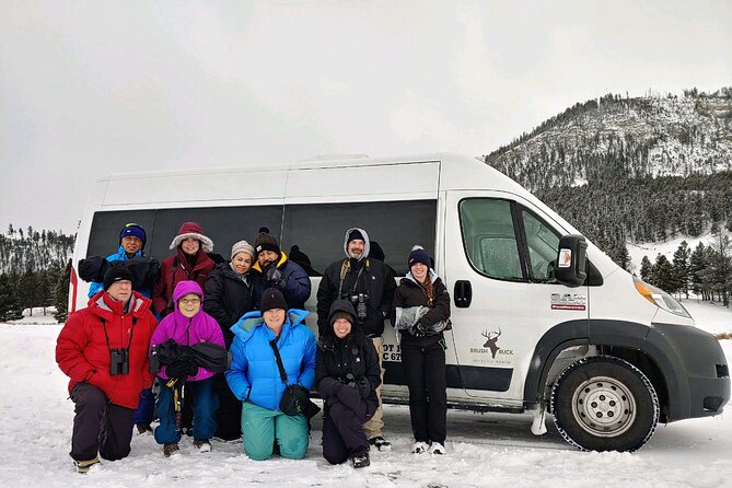 Grand Teton Wildlife Safari in a Enclosed or Open-Air Vehicle (Season Dependent) - Overview of the Wildlife Safari