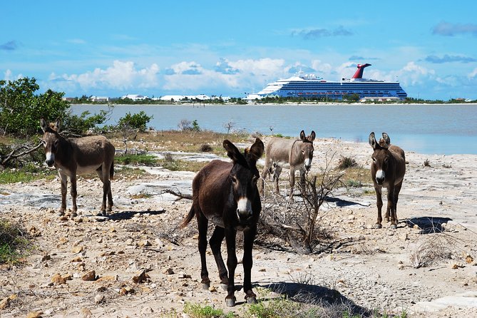 Grand Turk Historical Sightseeing Tour by Tram - Cockburn Town Highlights