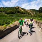 Grape Grazing: Wachau Valley Winery Biking Tour Overview Of The Excursion