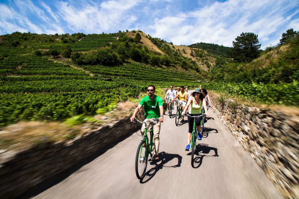 Grape Grazing: Wachau Valley Winery Biking Tour - Overview of the Excursion