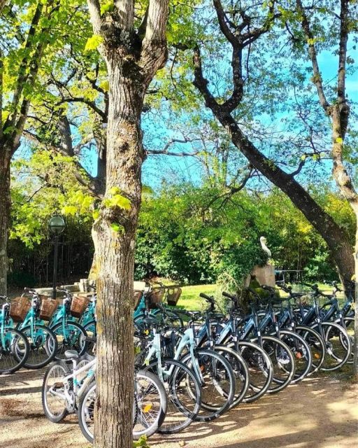 Gréoux-les-Bains: Bike Rental - Exploring Scenic Côte Dazur