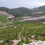 Group Tour From Dubrovnik: Ston And Peljesac Wineries Tour Tour Overview