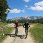 Guided E Bike Tour Of The Alpine Pastures In The Salzkammergut Tour Details