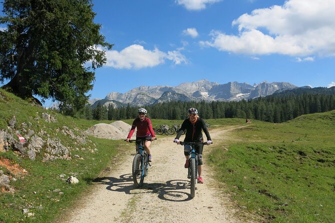 Guided E-Bike Tour of the Alpine Pastures in the Salzkammergut - Tour Details