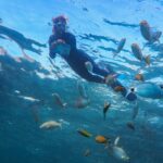 Guided Snorkel Experience Experience Details