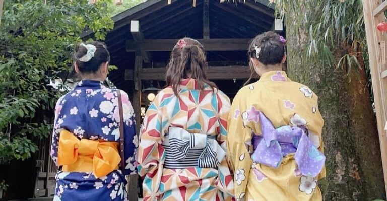 Guided Tour Of Walking And Photography In Asakusa In Kimono Activity Overview