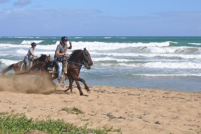 Half Day Buggies And Horseback Experience In Punta Cana Tour Details