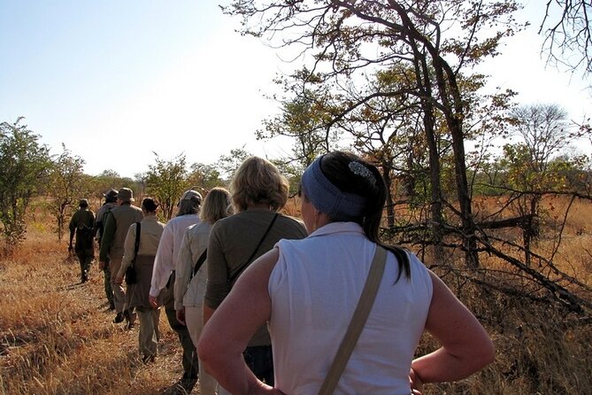 Half-Day Nature Walk in Mosi-Oa-Tunya National Park From Livingstone - Tour Overview