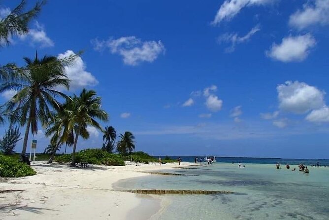 Half Day Private Boat Charter in Grand Cayman - Stops: Stingray Sand Bar and Starfish Point