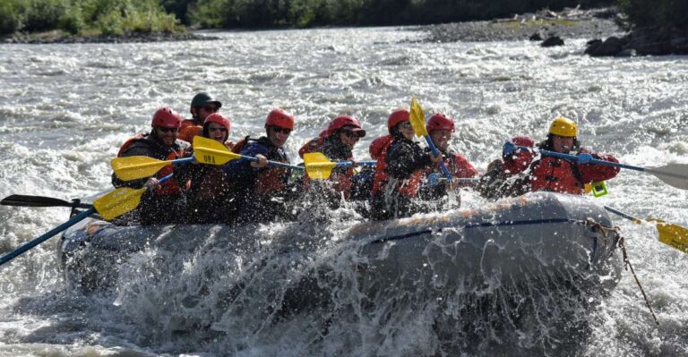 Healy: Denali National Park Class Iv Whitewater Rafting Tour Overview Of The Experience