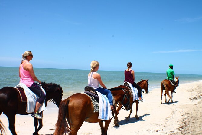 Heritage Beach Horseback Riding Tour Tour Features