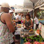 Hidden Gems Of Oahu Circle Island Tour With Byodo In Temple Discover Diamond Head And Halona Blowhole