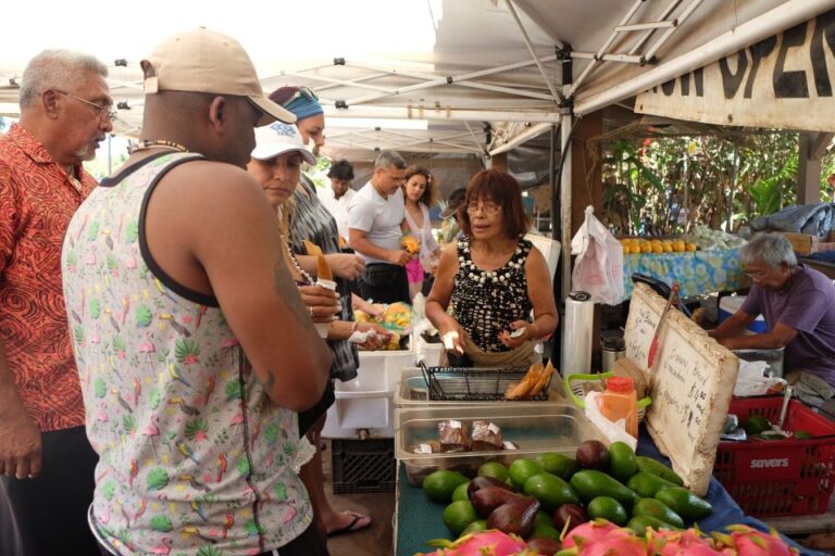 Hidden Gems Of Oahu Circle Island Tour With Byodo In Temple Discover Diamond Head And Halona Blowhole