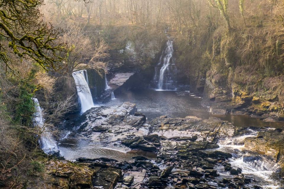 Hike World Heritage Reserve Waterfalls - Overview of the Experience