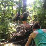 Hiking Mount Liamuiga Volcano In St Kitts Tropical Rainforest Trek