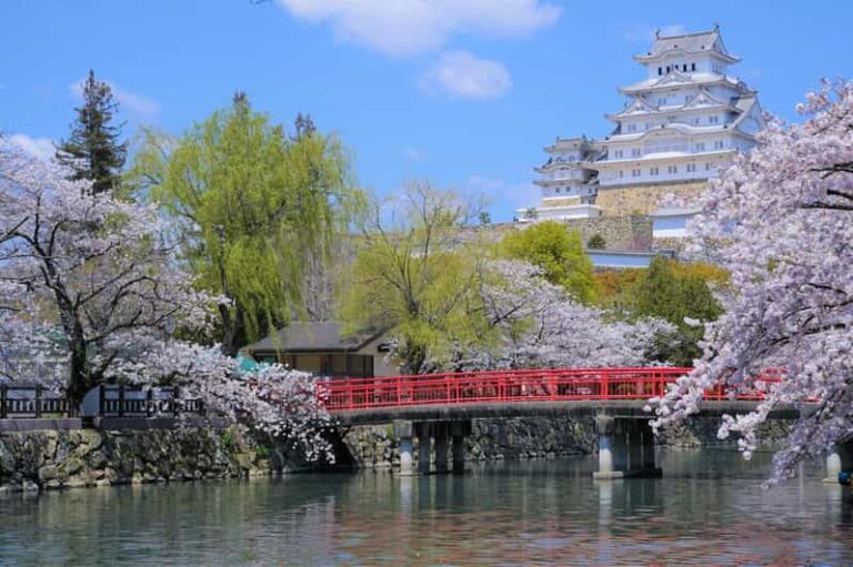 Himeji Walking Tour Review: Castle And Culture Tour Overview