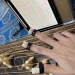 Hiroshima City: Immersive Koto Music Lesson Experience Activity Overview