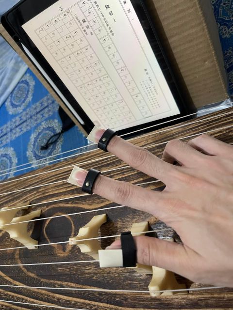 Hiroshima City: Immersive Koto Music Lesson Experience - Activity Overview