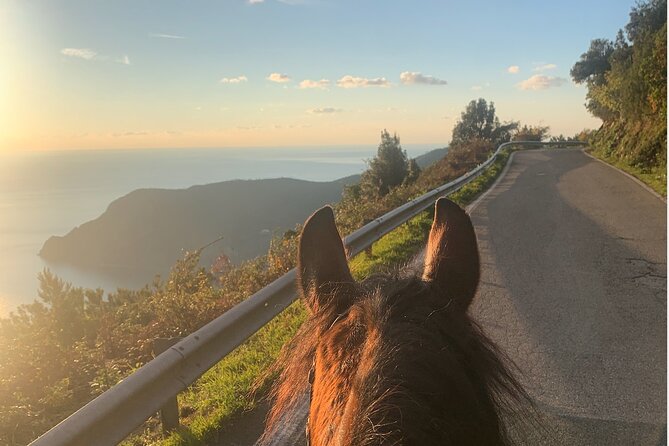 Horse Riding on the Coast of Monterosso Al Mare, Cinque Terre - Overview of the Experience