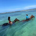 Horseback Ride And Swim Tour In Montego Bay Tour Overview