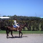 Horseback Riding , Blue Hole Secret Falls And River Tubing & River Rafting Tour Tour Highlights