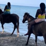 Horseback Riding, Dunns River Falls & Blue Hole From Montego Bay Tour Overview