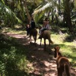 Horseback Riding Experience Between Virgin Beach And Lagoon Meeting And Transportation