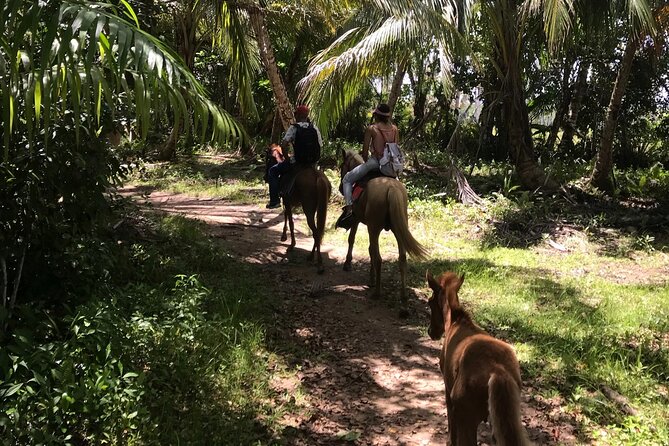 Horseback Riding Experience Between Virgin Beach And Lagoon Meeting And Transportation