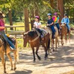 Horseback Riding In The Dominican Jungle Tour Overview