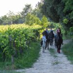 Horseback Riding Tour With Tuscan Picnic In Val Dorcia And Valdichiana Highlights Of The Experience