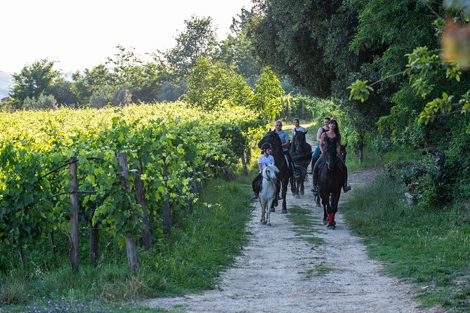 Horseback Riding Tour With Tuscan Picnic in Val Dorcia and Valdichiana - Highlights of the Experience