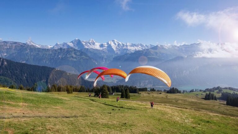 Interlaken: Tandem Paragliding Flight With Pilot Overview Of The Experience