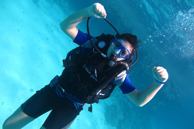 Intro Diving 2 Stops for Beginners With Pick-Up and Lunch - Hurghada - Overview of the Experience