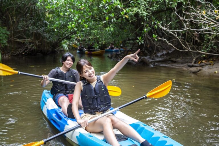 Iriomote Island Kayaking And Snorkeling Tour Review Tour Overview And Details