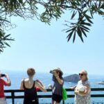 Ischia Private Day Stress Free Tour From Sorrento Tour Overview