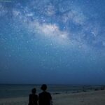 Ishigaki: Jungle Walk And Stargazing Night Tour Tour Overview