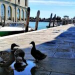 Island Hopping Tour: Mazzorbo, Burano And Murano Mazzorbo Vineyard And Monastery