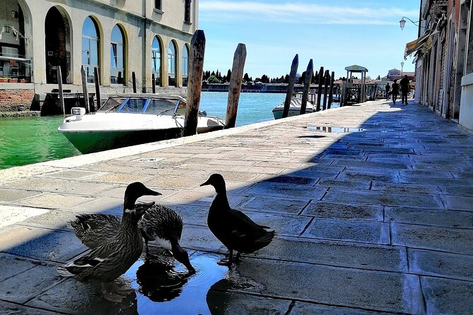 Island Hopping Tour: Mazzorbo, Burano and Murano - Mazzorbo Vineyard and Monastery