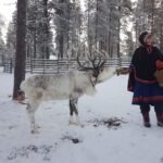 Ivalo: Winter Short Break In Northern Lapland Package Overview