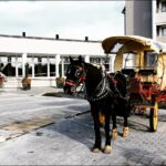 Jaunting Car Tour In Killarney National Park Whats Included In The Tour