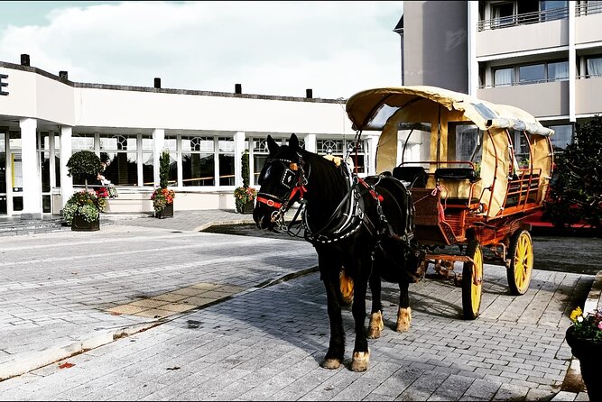 Jaunting Car Tour in Killarney National Park - Whats Included in the Tour