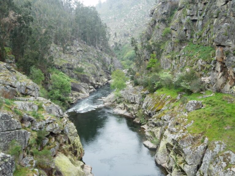 Jeep Tour Paiva Valley + 516 Arouca Bridge Tour Overview