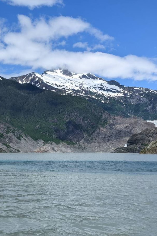 Juneau: Mendenhall Glacier Waterfall & Whale Watching Tour - Tour Overview