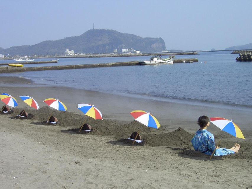 Kagoshima: Samurai History and Hot Sand Baths Private Tour - Tour Overview