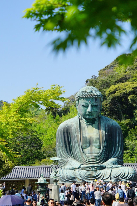 Kamakura Half Day Walking Tour Review - Itinerary Highlights