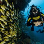 Kefalonia: Beginner Scuba Diving At Agia Efimia Village Course Overview