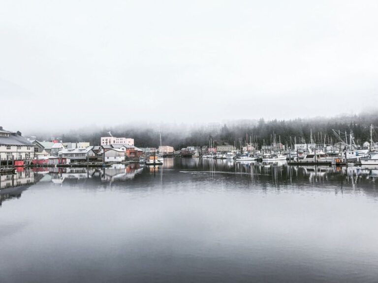 Ketchikan: Husky Walking Tour Tour Overview